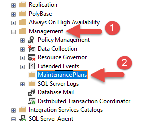 Select Maintenance Item From SSMS